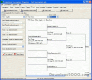 Professional Tournament Organizer screenshot
